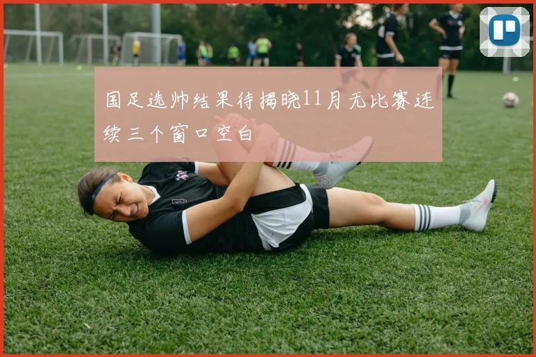 国足选帅结果待揭晓11月无比赛连续三个窗口空白